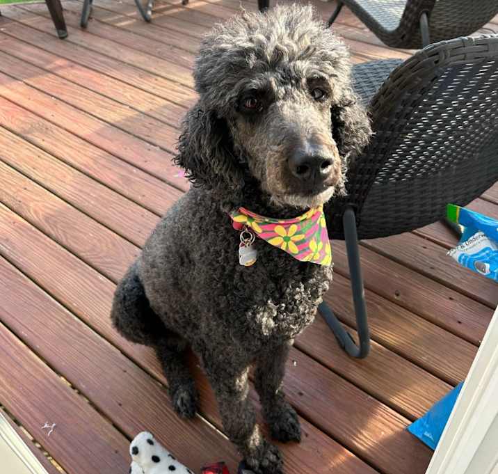 Photo of LUNA