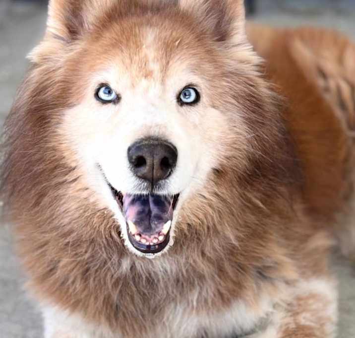 Photo of Bolero