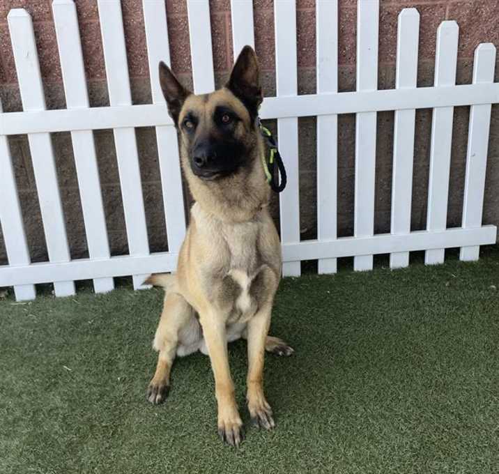 Photo of *STRYKER