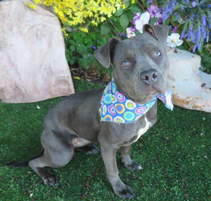 Photo of BLUE