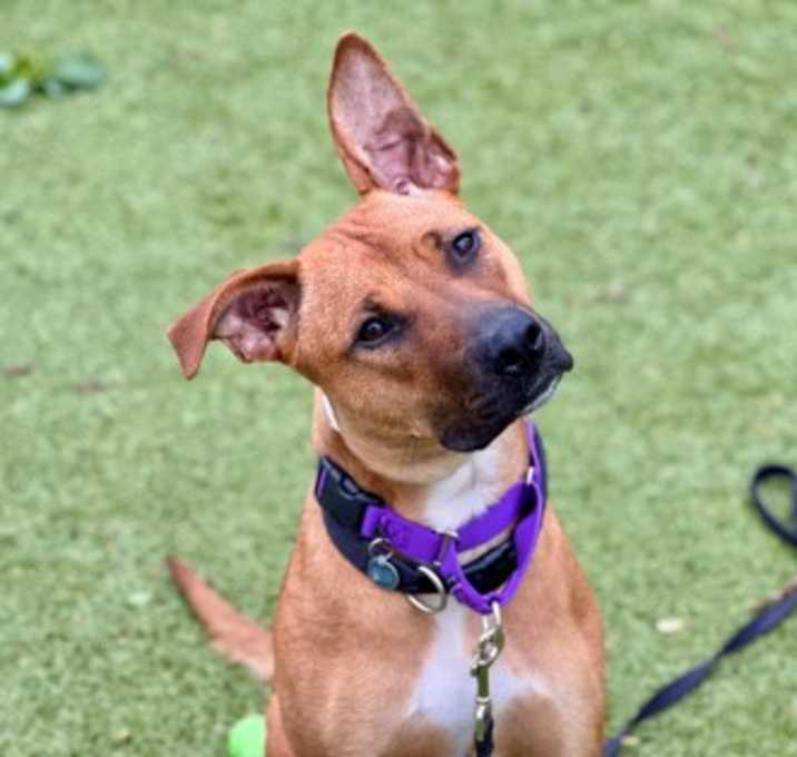 Photo of Maeve