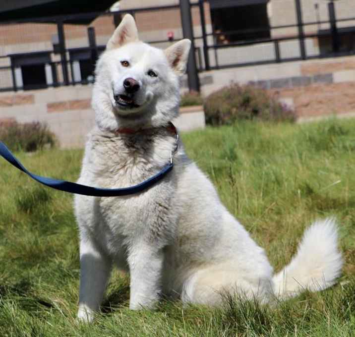 Photo of BO