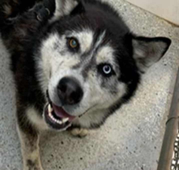 Photo of HEMI