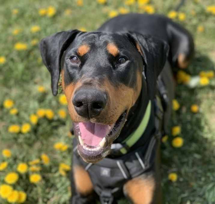 Photo of Arthur