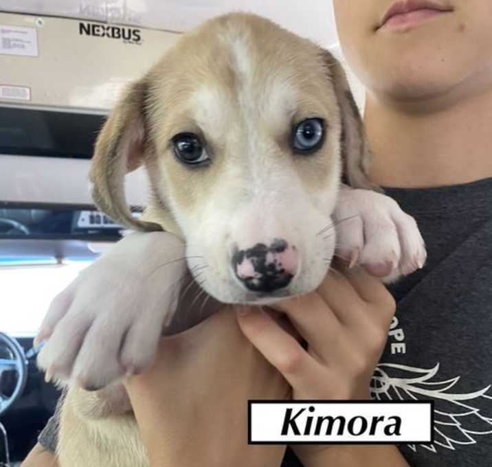 Photo of Kimora