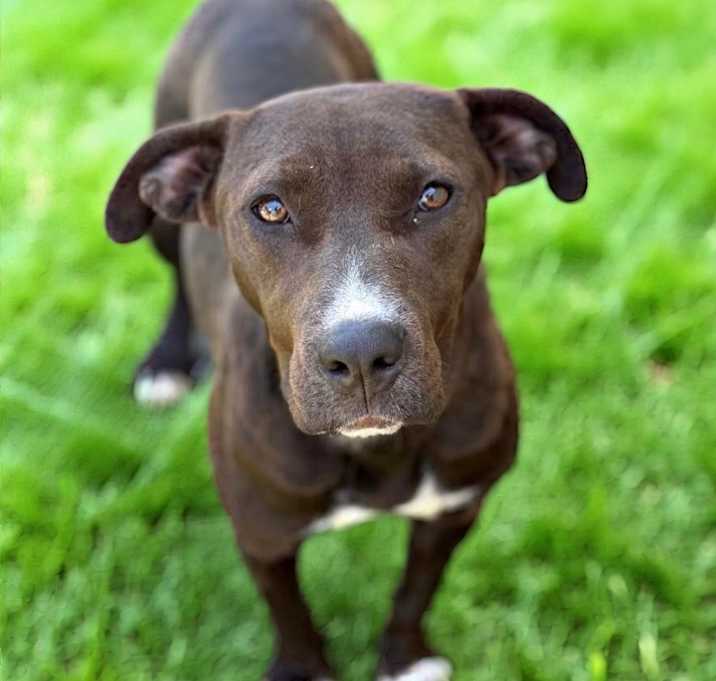 Photo of Rory