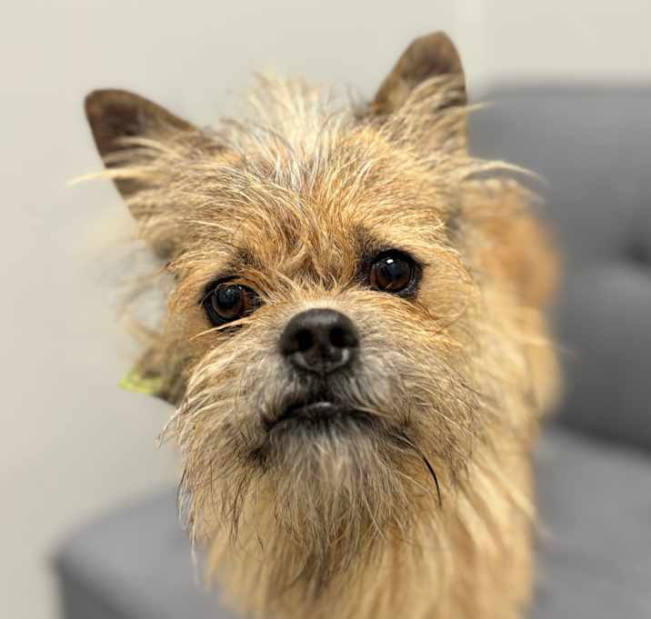 Photo of Max