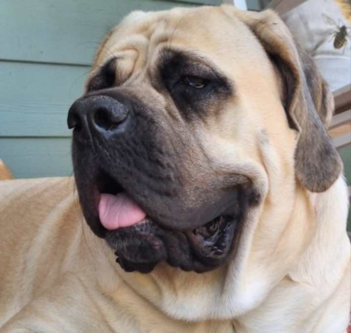 Photo of Lucy