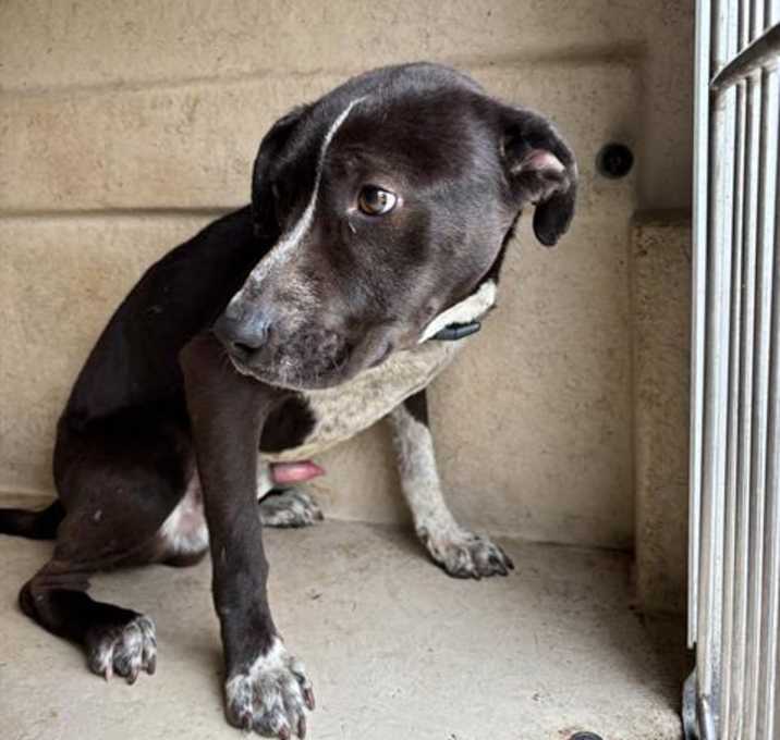 Photo of SPOT