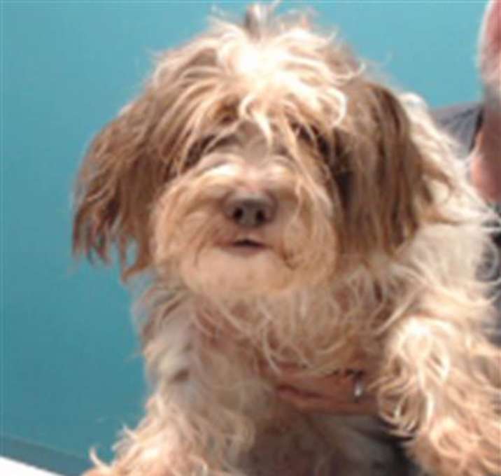 Photo of JUMPER