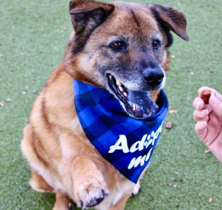Photo of Thor