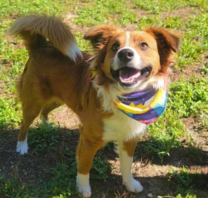 Photo of Kodak