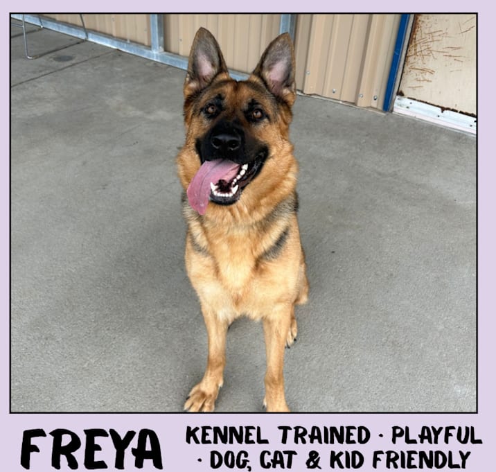 Photo of Freya