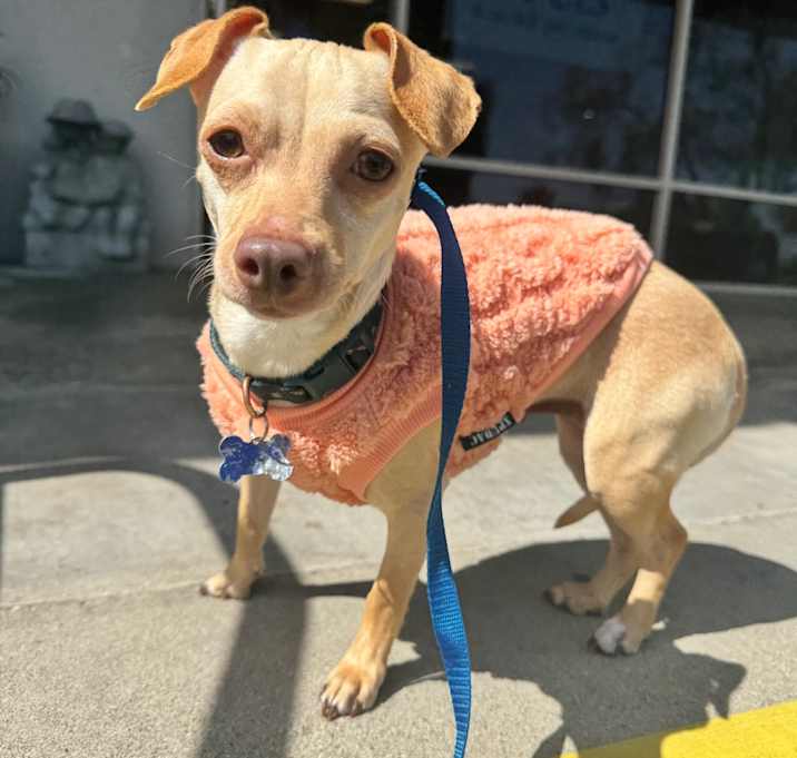Photo of Miss Lippenrieder(831) - Claremont Location