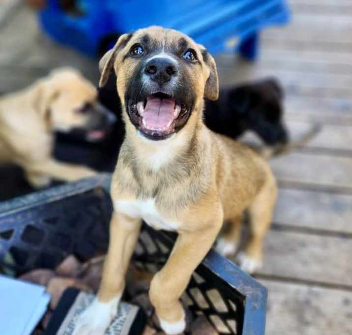 Photo of Cash
