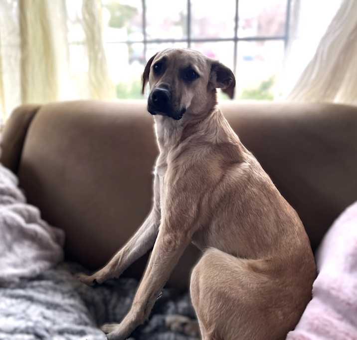 Photo of Zelda