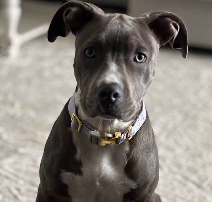Photo of Bug