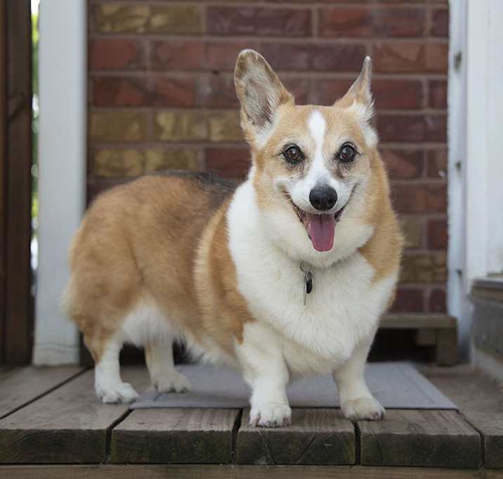 Photo of Katie