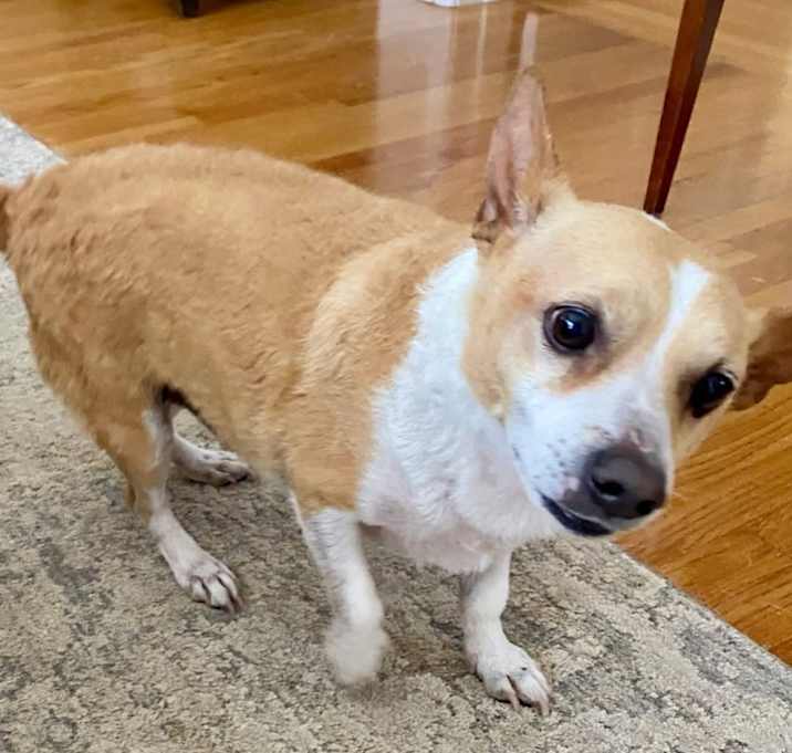 Photo of Jack