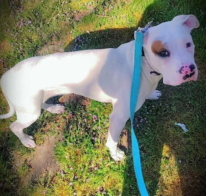 Photo of Roxy