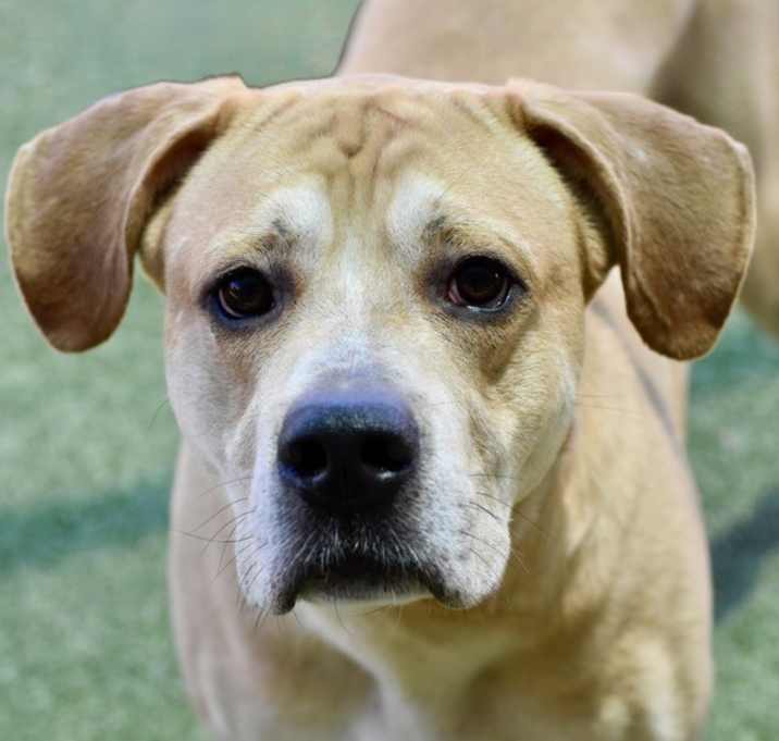 Photo of Milo