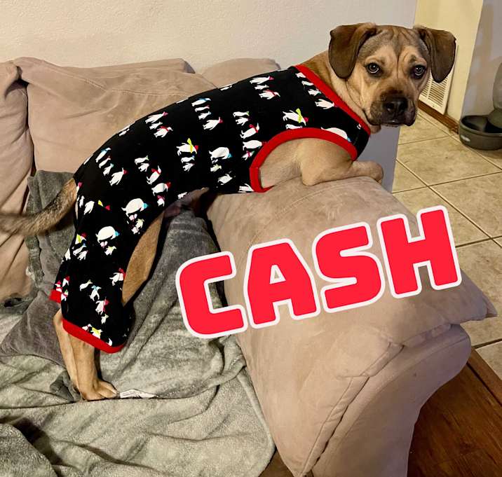 Photo of Cash in Texarkana TX