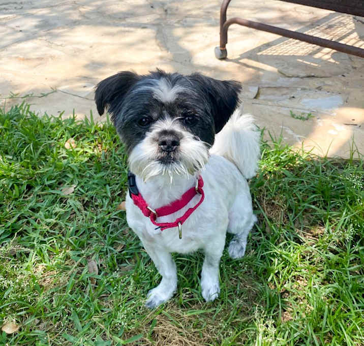 Photo of Mookie
