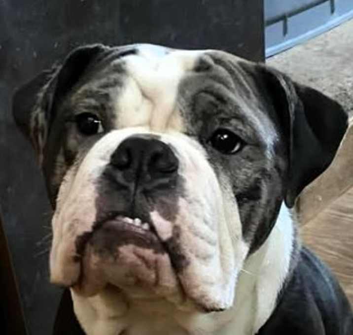 Photo of Emmitt