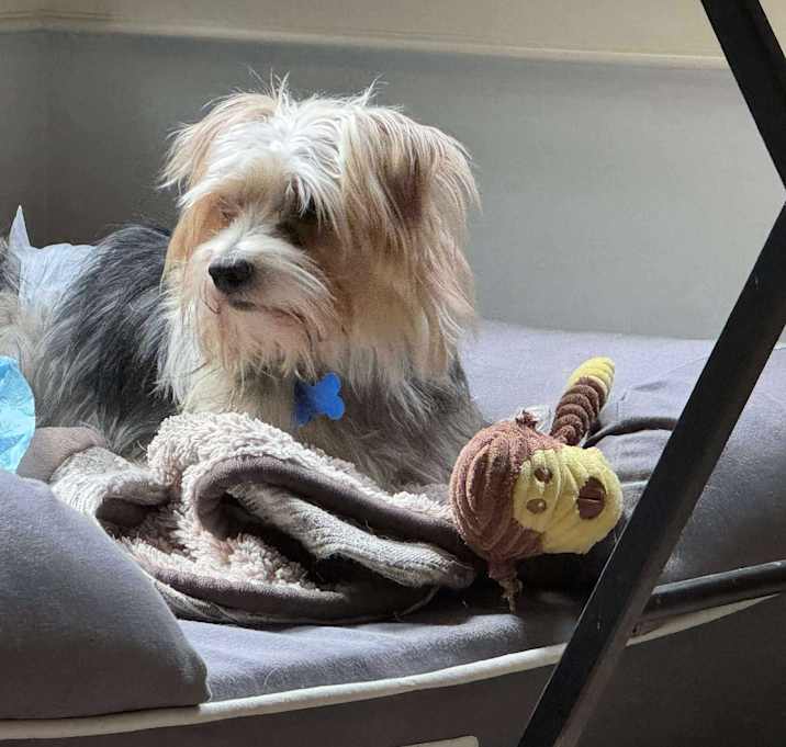 Photo of Zeus
