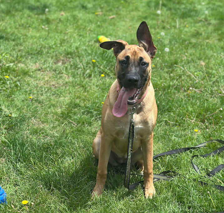 Photo of Zara