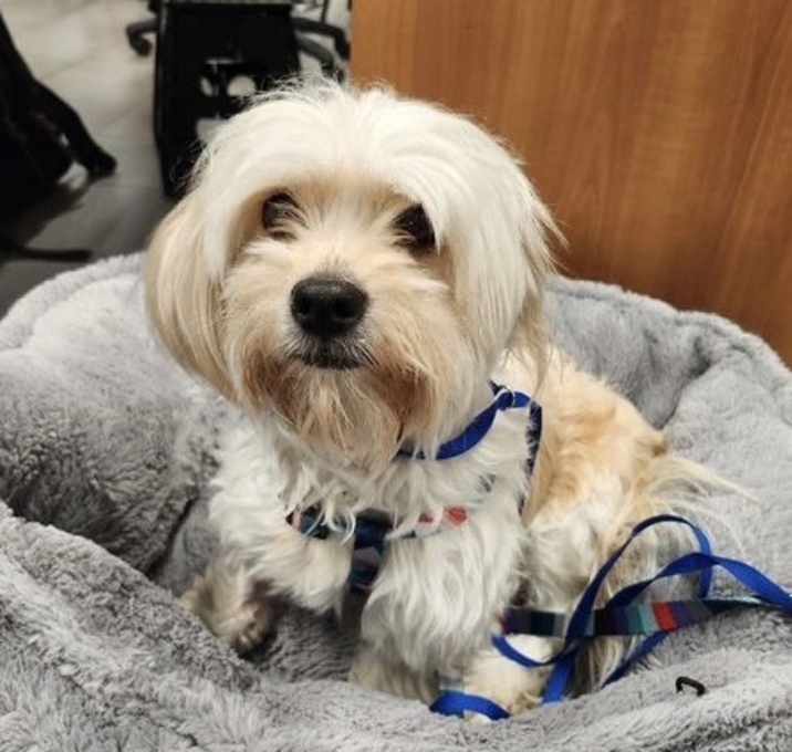 Photo of Mandy