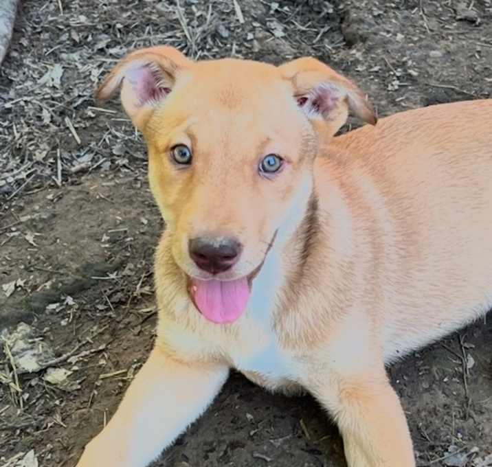 Photo of Izzy