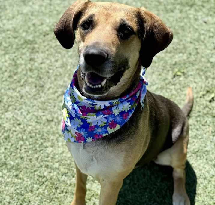 Photo of Maggie May