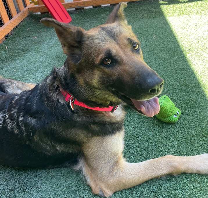 Photo of Ashley A2182723