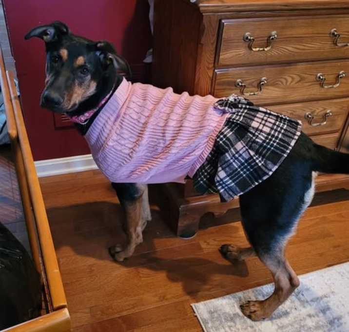 Photo of Daisy