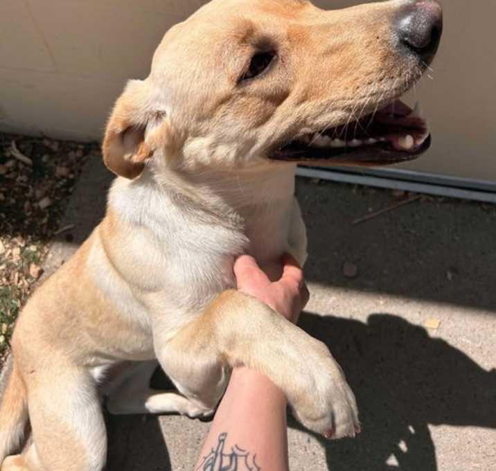 Photo of Remi