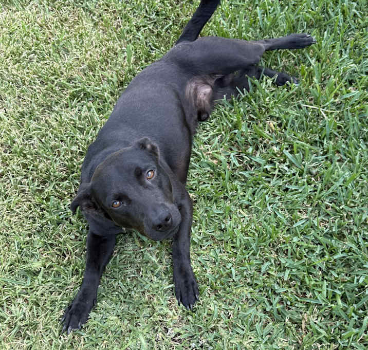Photo of Chase