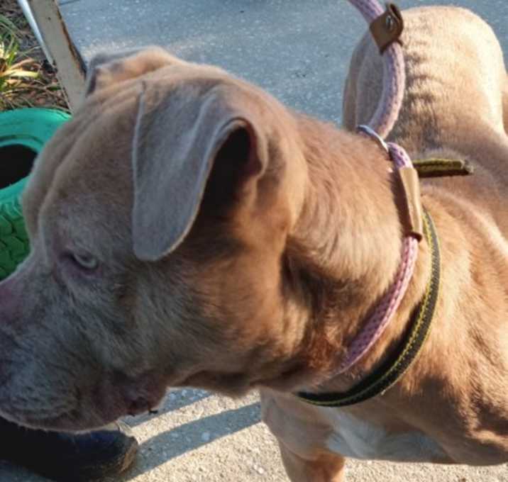 Photo of Delilah