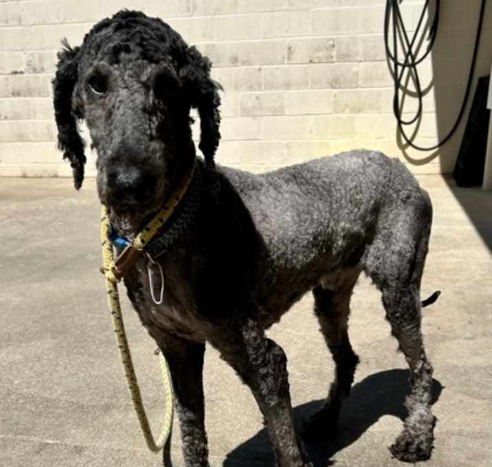 Photo of Gucci