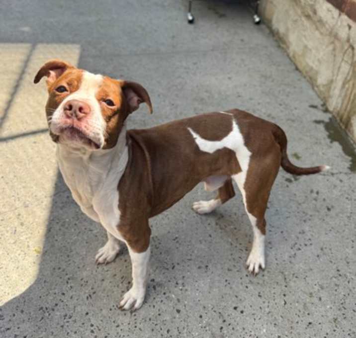 Photo of Skittles