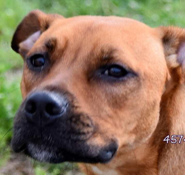 Photo of Roxi