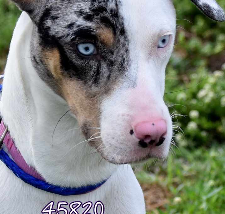 Photo of Tinkerbell