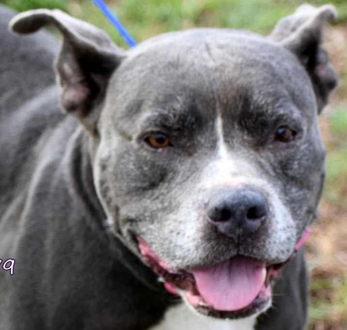 Photo of Blu