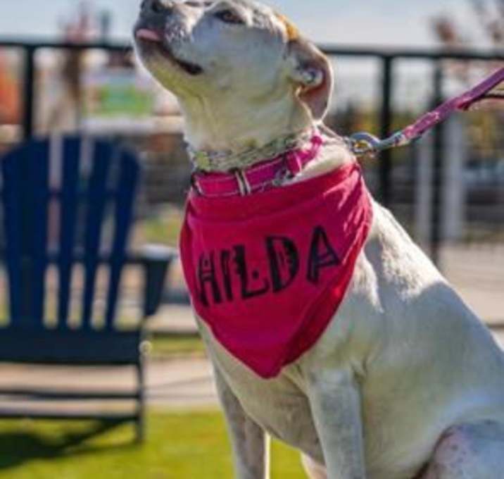 Photo of Hilda