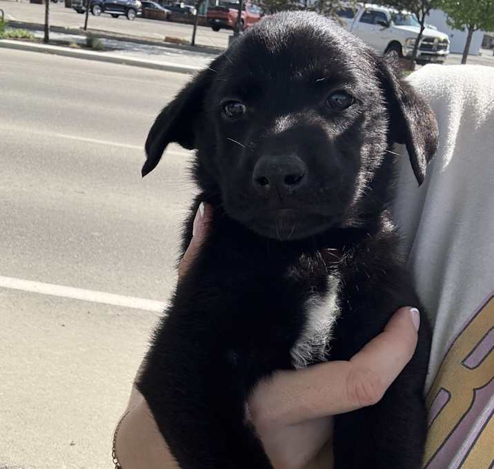 Photo of Gus