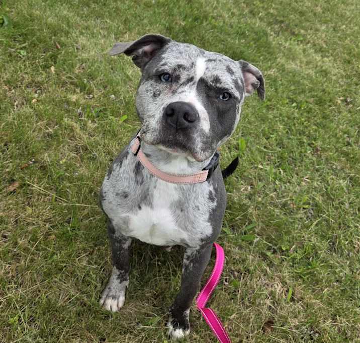 Photo of Josie