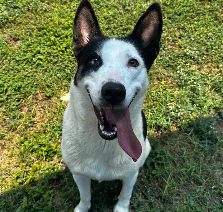 Photo of Greta