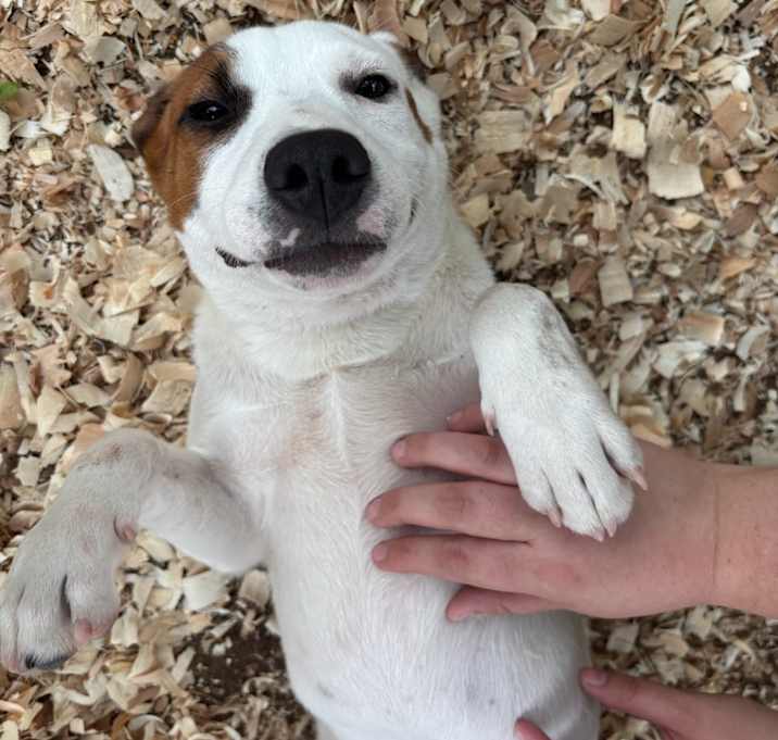 Photo of Ruben