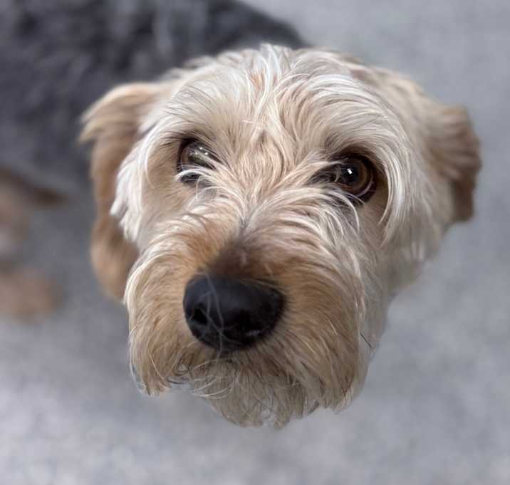 Photo of Ace