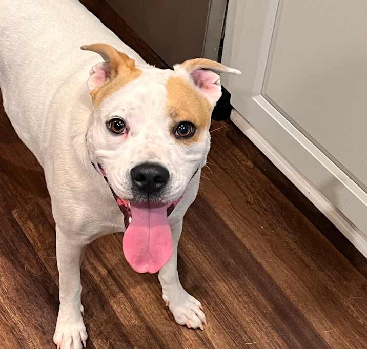 Photo of Annie